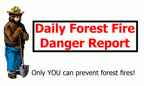 smokey_the_bear-600x357